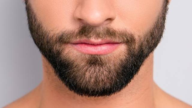 portrait homme détail la barbe